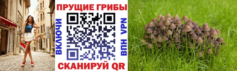 Купить закладки Тавда Галлюциногенные грибы мухоморы